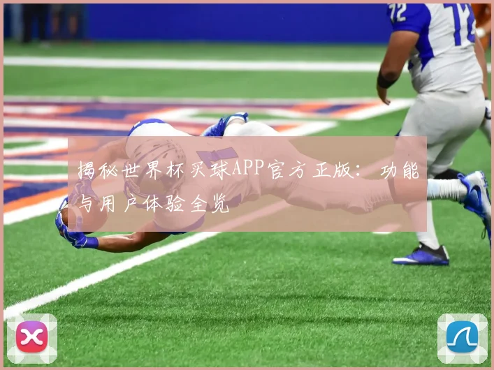 揭秘世界杯买球APP官方正版：功能与用户体验全览